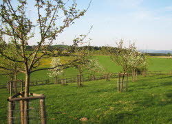 2007-04-27-18h37m41