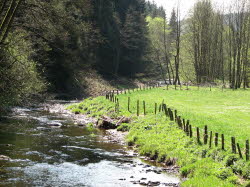 2007-04-29-14h29m15