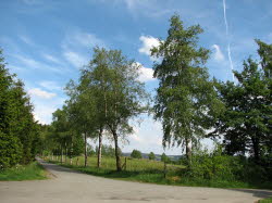 2007-05-20-16h56m09