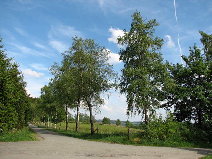 2007-05-20-16h56m09