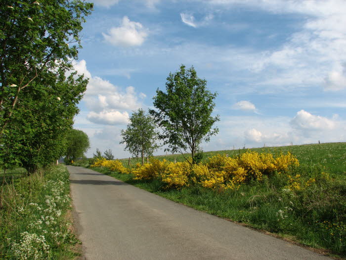 2007-05-20-17h19m54
