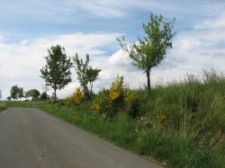 2007-05-20-17h34m32