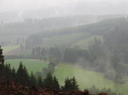 2007-05-28-14h39m34