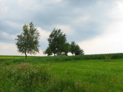 2007-06-10-19h01m14