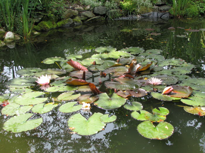 2007-06-22-15h52m48