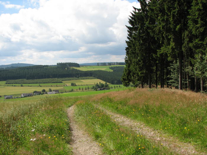2007-07-22-12h21m39