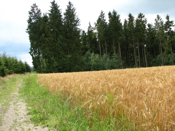 2007-07-22-12h37m07