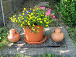 2007-08-12-16h59m36