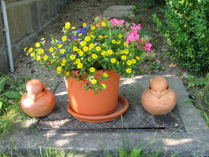 2007-08-12-16h59m36