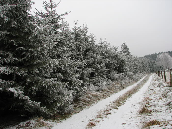 2007-12-27-15h23m49