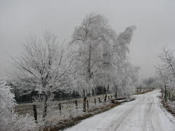 2007-12-27-15h29m11