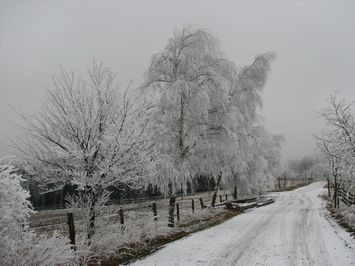 2007-12-27-15h29m11