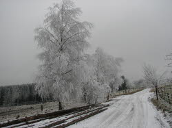 2007-12-27-15h29m53
