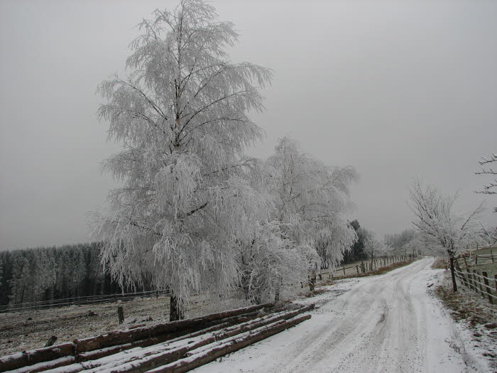 2007-12-27-15h29m53