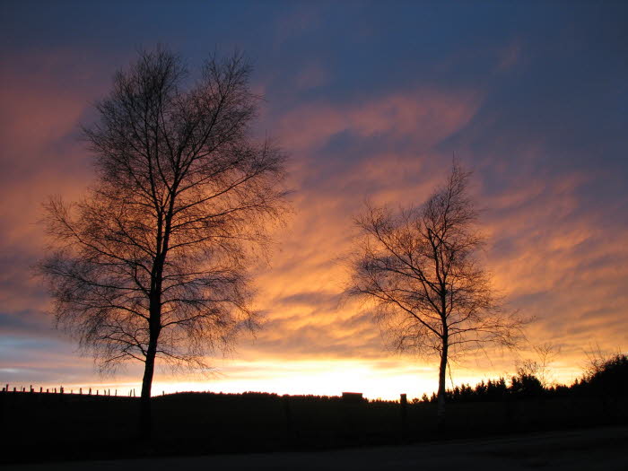 2008-04-30-21h03m50