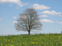 2008-05-10-15h10m49