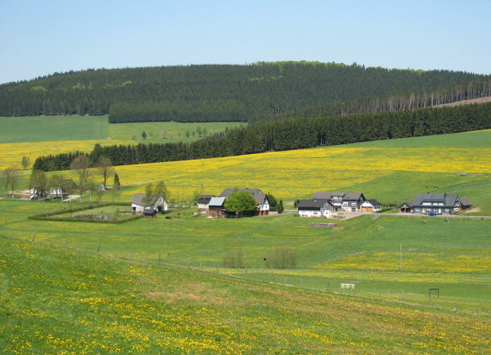 2008-05-11-12h51m22