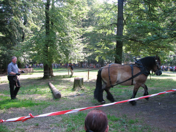 2006-07-02-10h41m29